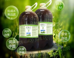 EM菌肥在农作物施肥过程中起到哪些效果