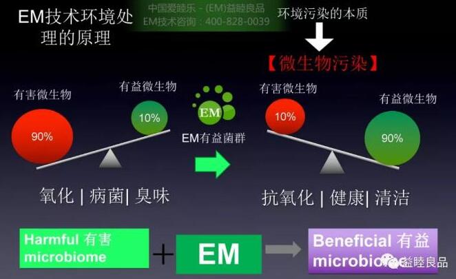 EM有效微生物菌群抑制病毒及其它有害菌