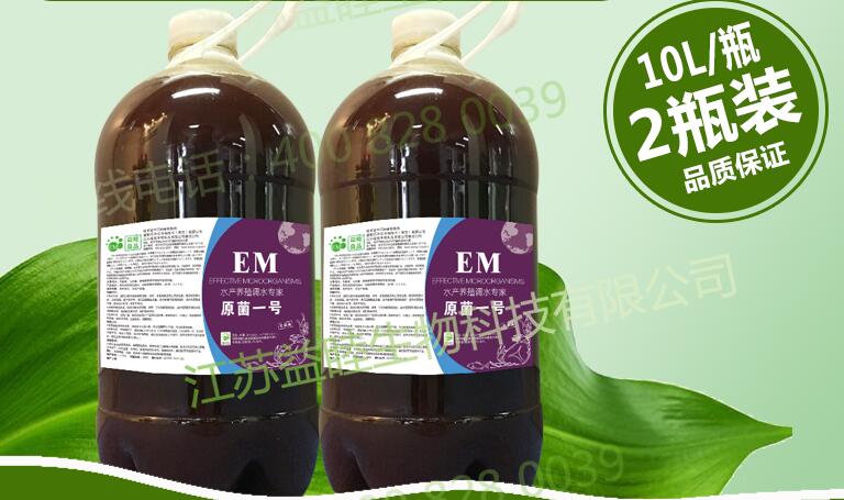 EM菌种研发公司介绍预防小龙虾病害的方法